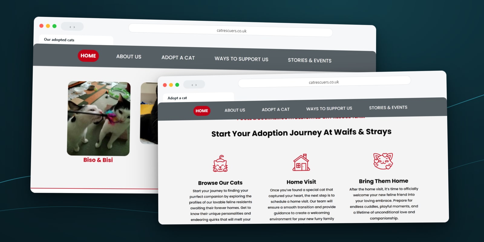 Waifs & Strays Cat Rescue adopted cats gallery and the three-step adoption journey