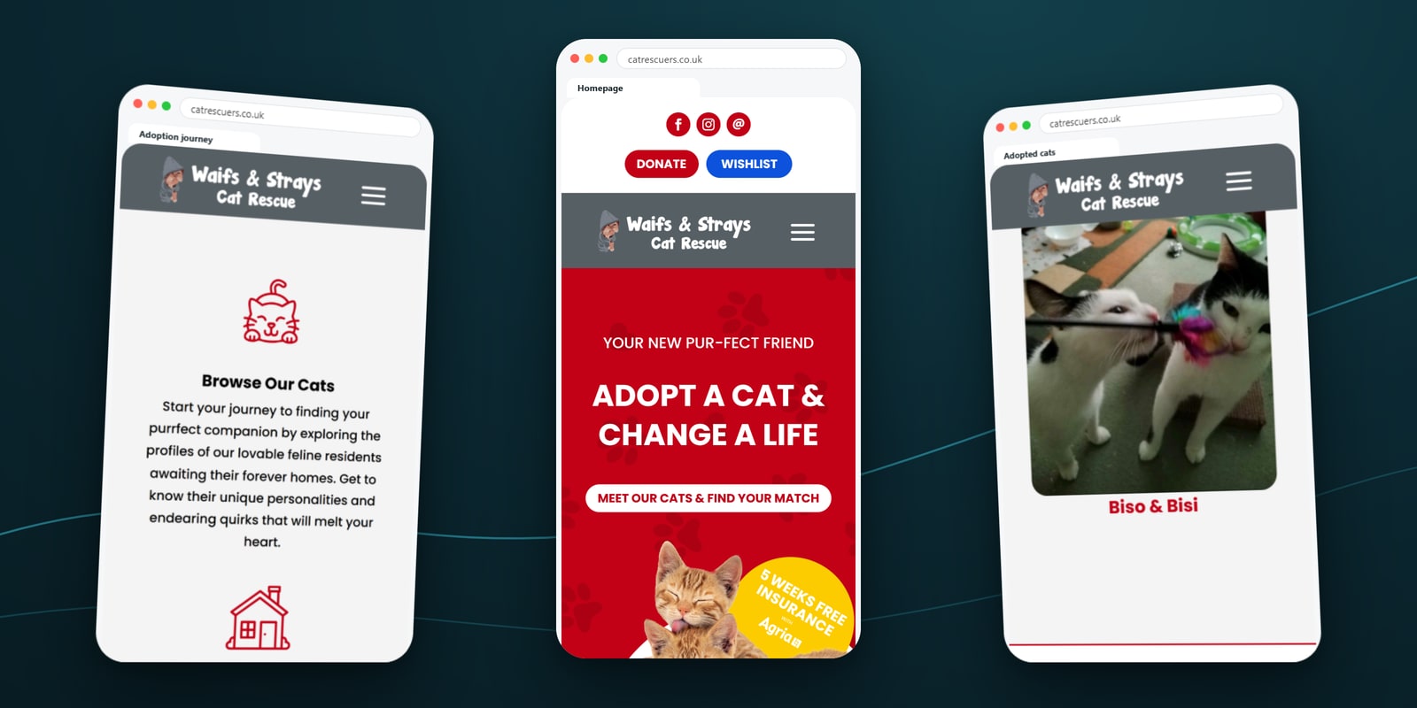 Waifs & Strays Cat Rescue adoption journey, homepage and adopted cats on three mobile phone screens