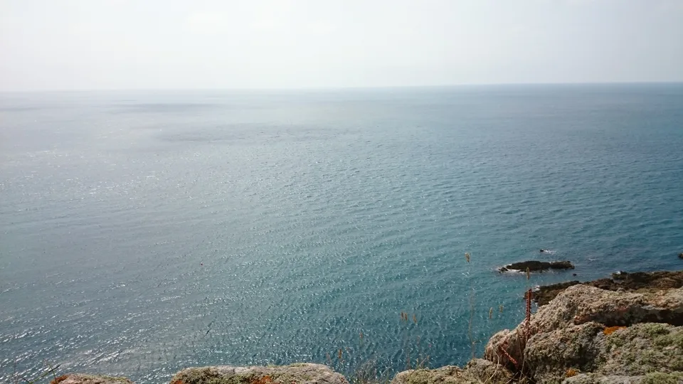 Calm blue water stretches to a hazy horizon beyond foreground grass and a rugged rocky cliff edge.