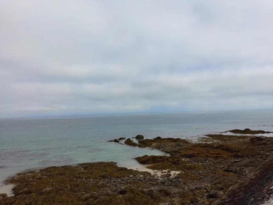 Exposed coastal rocks and brown seaweed border calm blue-grey water at St Catherine's Bay.
