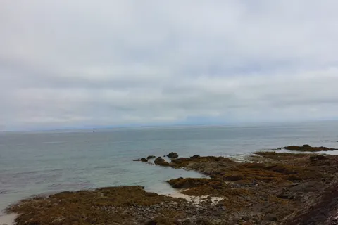 Exposed coastal rocks and brown seaweed border calm blue-grey water at St Catherine's Bay.