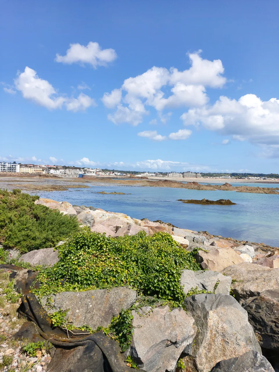 Low green plants grow between pale shoreline rocks beside blue water and white clouds across St Aubin's Bay.