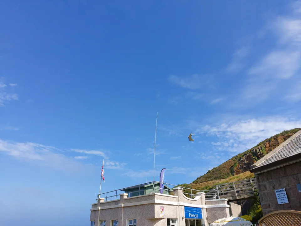 A gull flies above the roof of Plémont's beach cafe against blue sky and light clouds.