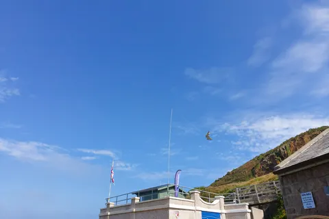 A gull flies above the roof of Plémont's beach cafe against blue sky and light clouds.