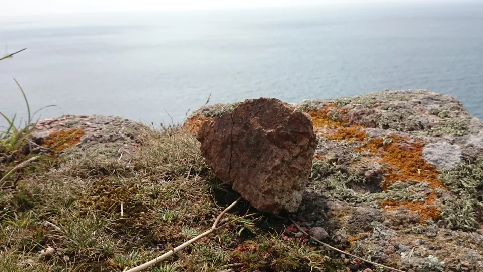 A lichen-covered rock and dry coastal grass overlook a calm blue-grey sea.