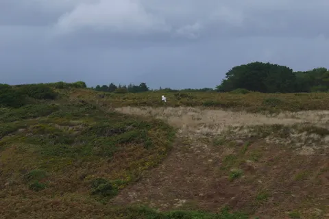 Dry grass and low coastal plants cover an open meadow bordered by a line of trees beneath a grey sky.