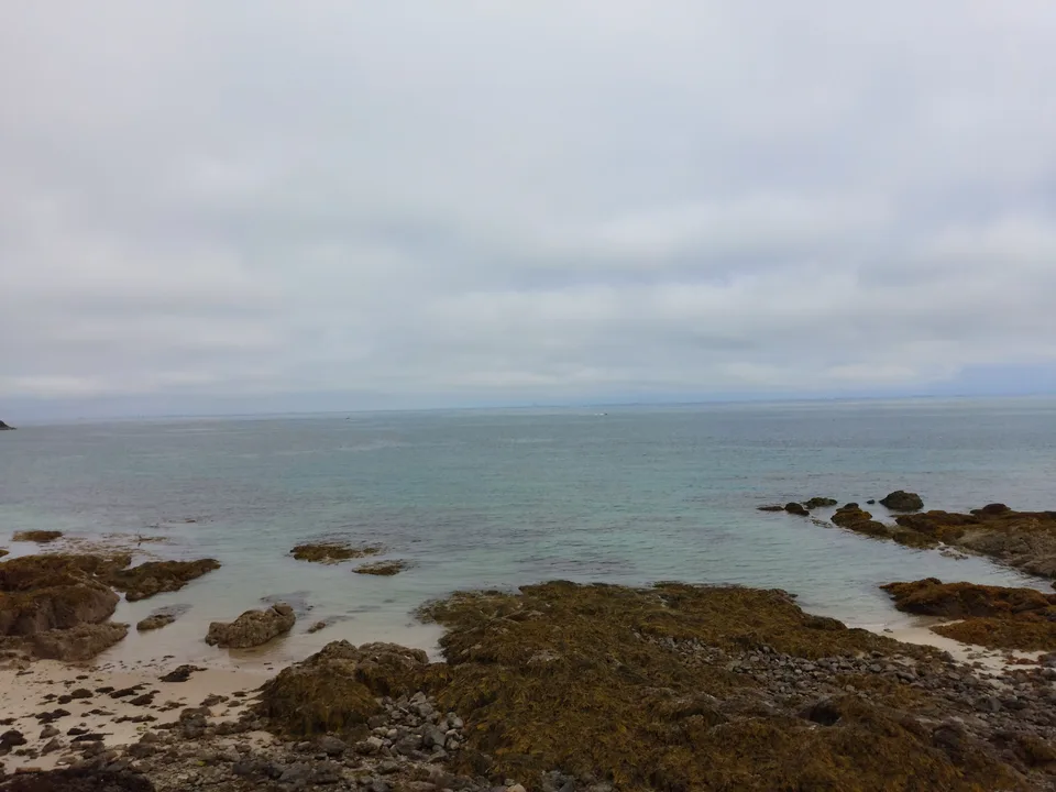 Low seaweed-covered rocks meet calm water at St Catherine's Bay beneath a grey clouded sky.