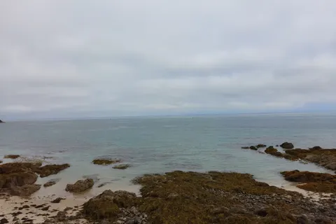 Low seaweed-covered rocks meet calm water at St Catherine's Bay beneath a grey clouded sky.