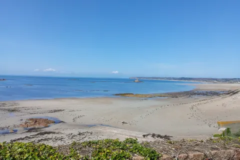 Pale sand, scattered dark rocks and low green coastal plants overlook a blue sea beneath a clear sky.