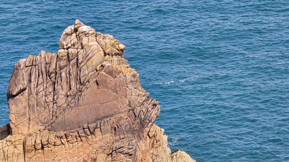 A small seabird rests on the tip of a ridged coastal rock above deep blue water at Grosnez.