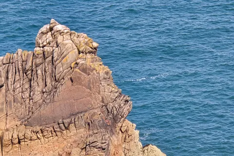 A small seabird rests on the tip of a ridged coastal rock above deep blue water at Grosnez.