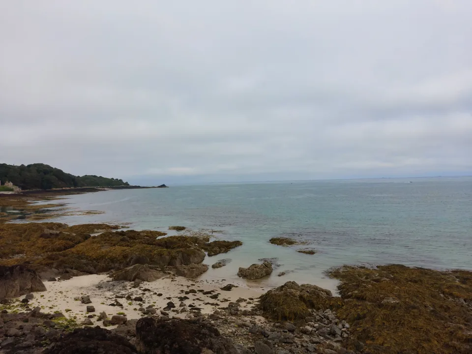 Brown seaweed covers low shoreline rocks beside pale blue water at St Catherine's Bay beneath an overcast sky.