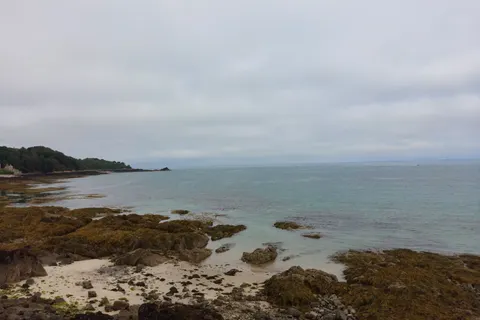 Brown seaweed covers low shoreline rocks beside pale blue water at St Catherine's Bay beneath an overcast sky.