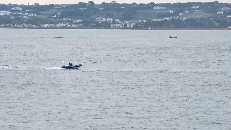 A small motorboat crosses grey-blue water with hillside homes on the distant shore of St Aubin's Bay.