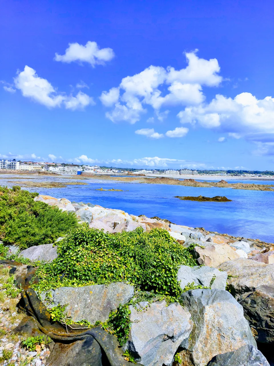 Green coastal plants and pale rocks sit beside blue tidal water under bright clouds in a strongly saturated view.