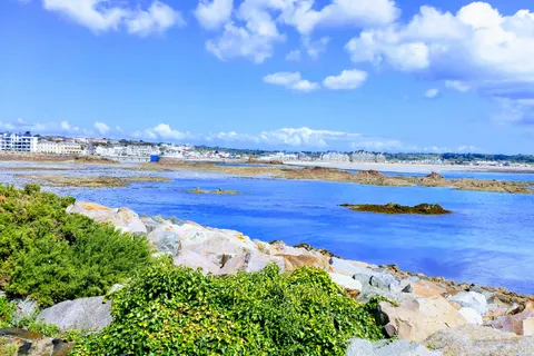 Green coastal plants and pale rocks sit beside blue tidal water under bright clouds in a strongly saturated view.